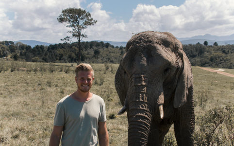 Knysna Elephant Park Elefant und ich